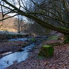 Waldmotive, hier: Winterimpressionen am Lautenbach (19)