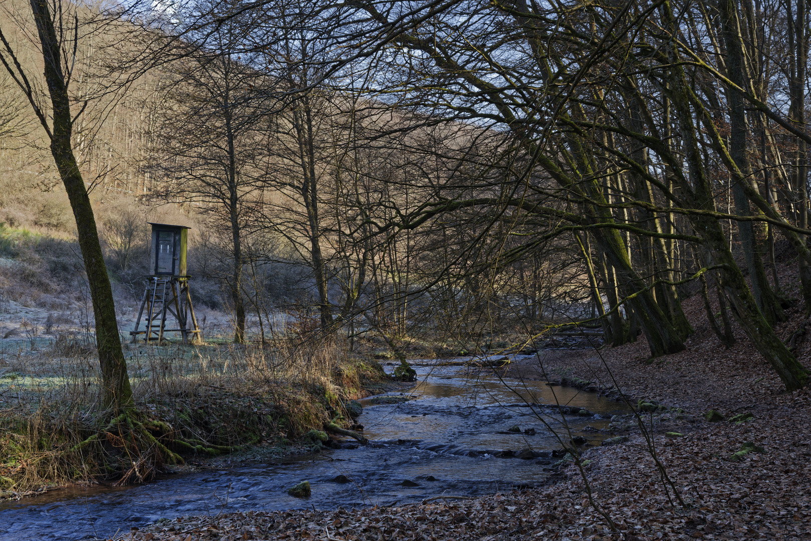 Waldmotive, hier: Winterimpressionen am Lautenbach (5)