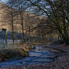 Waldmotive, hier: Winterimpressionen am Lautenbach (5)