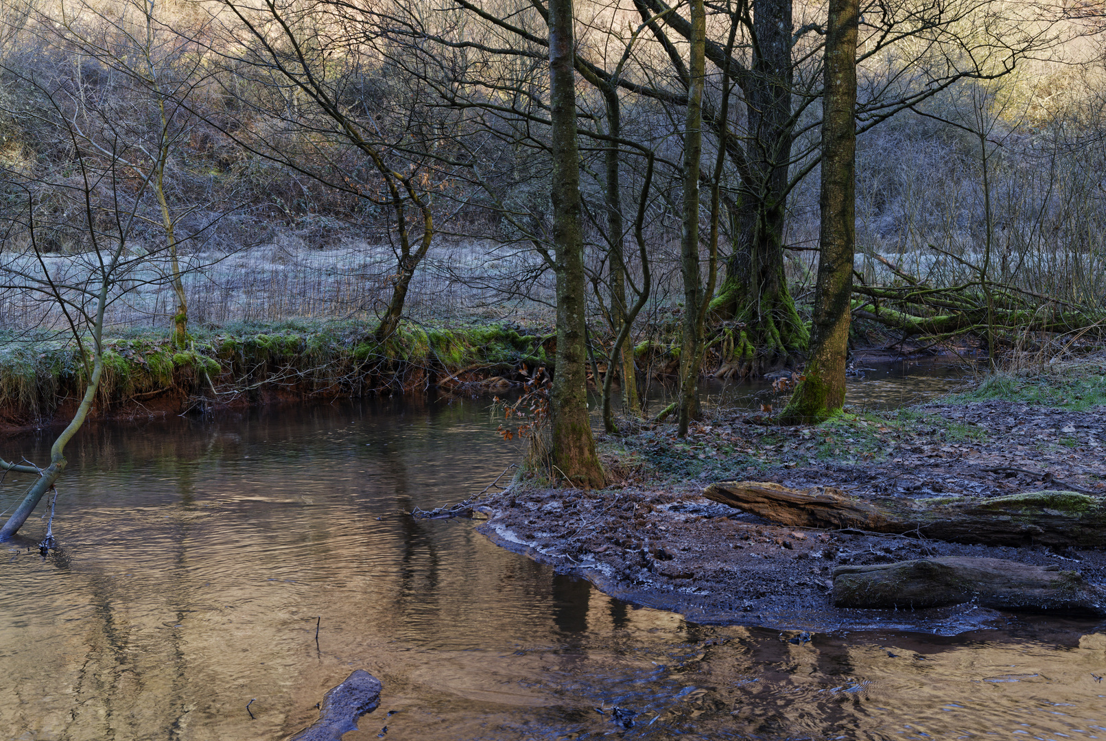 Waldmotive, hier: Winterimpressionen am Lautenbach (6)