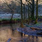 Waldmotive, hier: Winterimpressionen am Lautenbach (6)