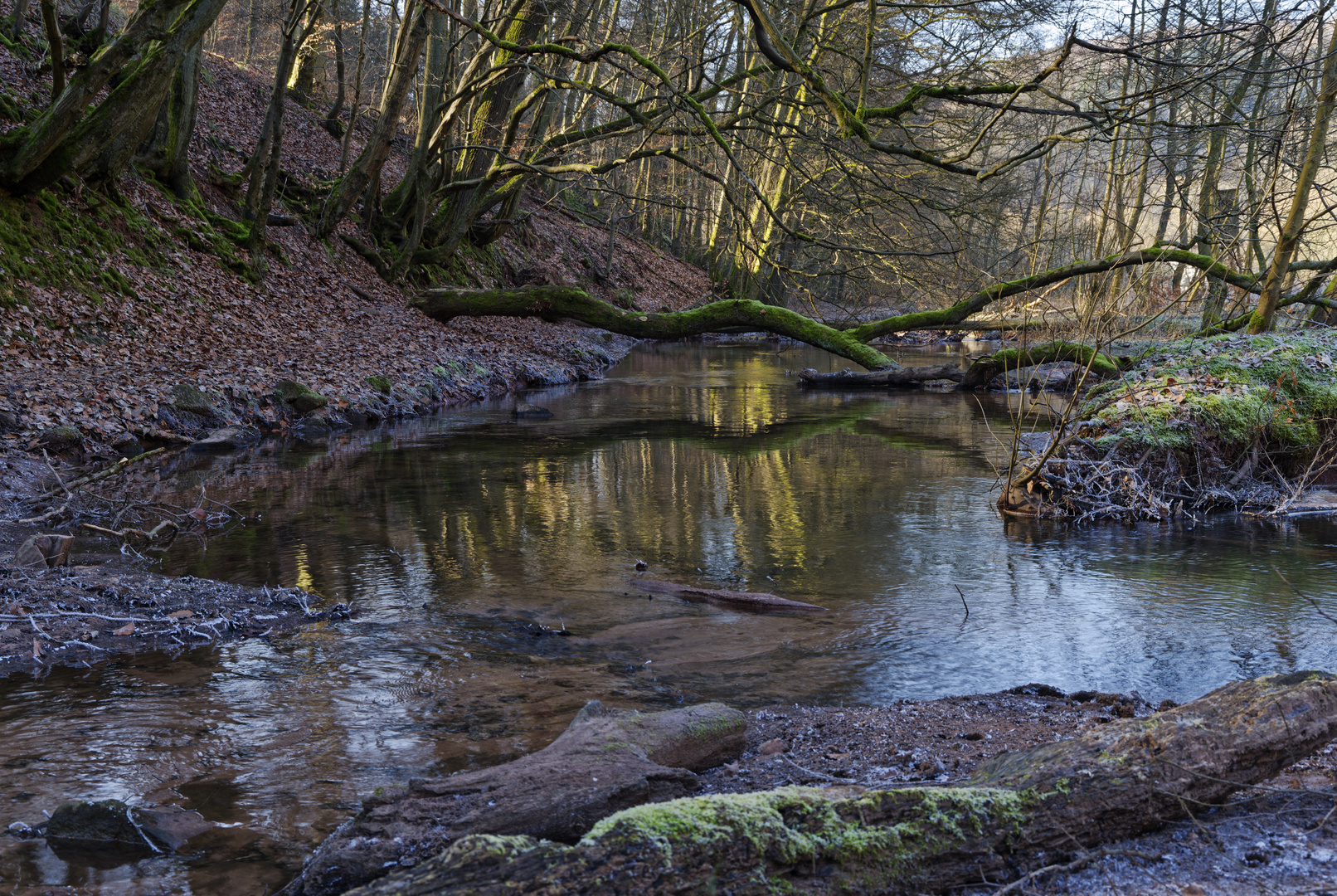 Waldmotive, hier: Winterimpressionen am Lautenbach (7)