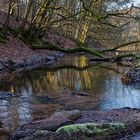 Waldmotive, hier: Winterimpressionen am Lautenbach (7)