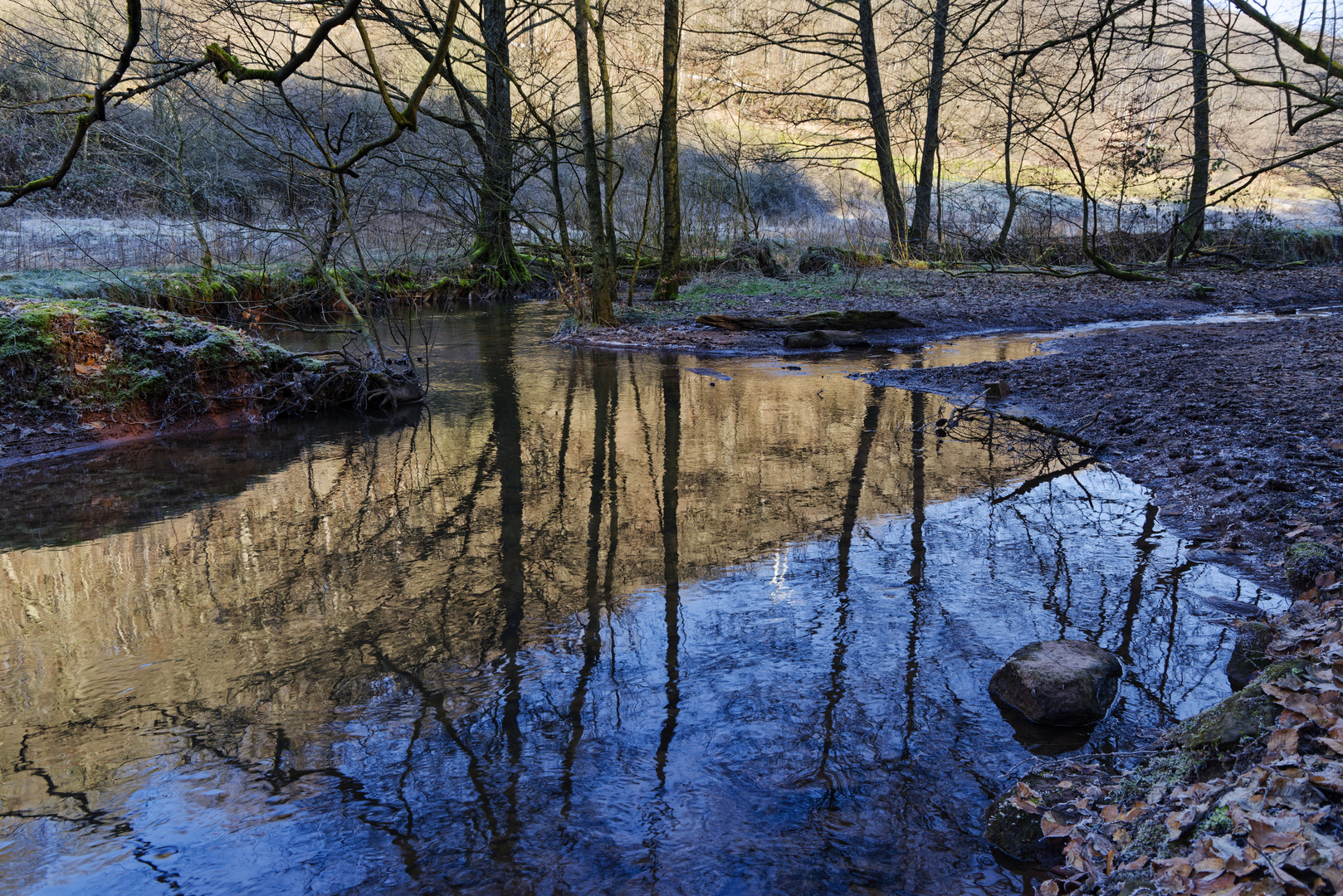 Waldmotive, hier: Winterimpressionen am Lautenbach