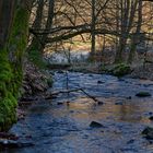 Waldmotive, hier: Winterimpressionen am Lautenbach (8)