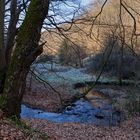 Waldmotive, hier: Winterimpressionen am Lautenbach (9)