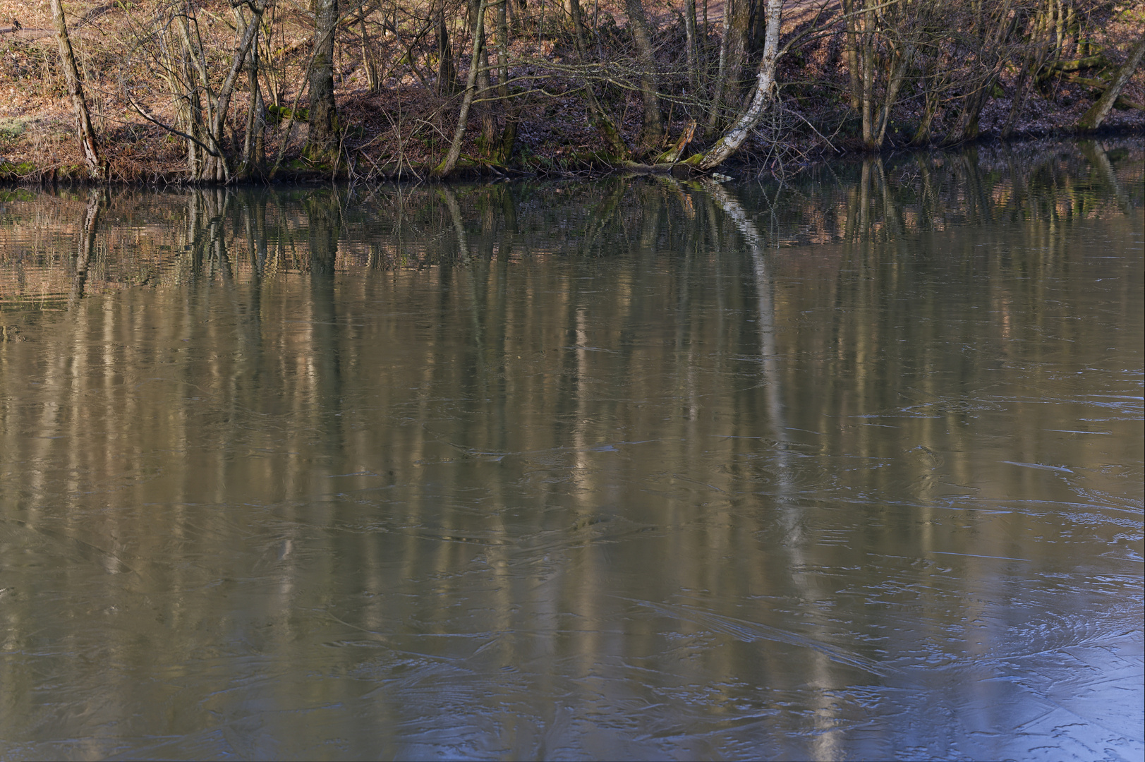 Waldmotive, hier: Winterimpressionen am Netzbachweiher (6)