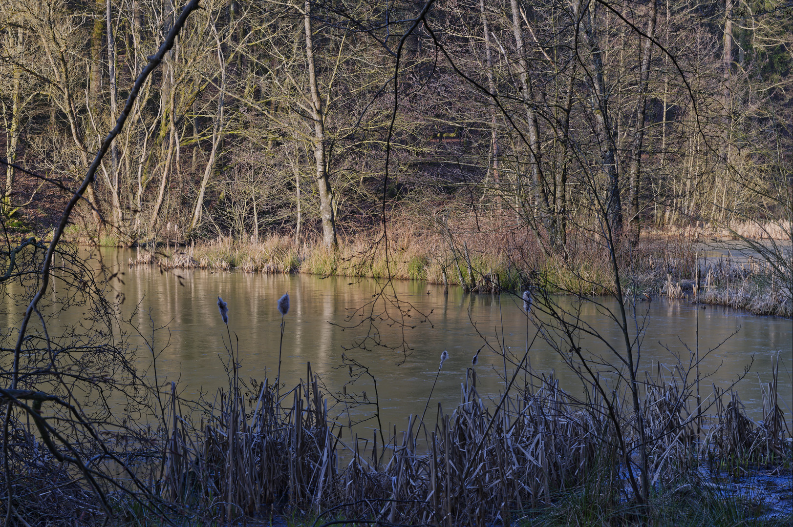 Waldmotive, hier: Winterimpressionen am Rosenweiher (2)