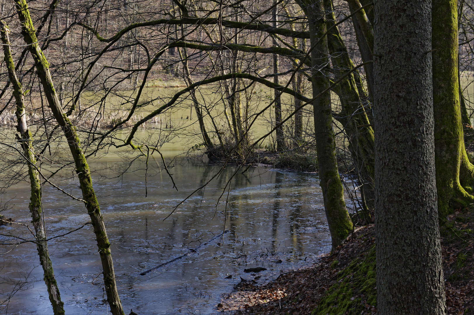 Waldmotive, hier: Winterimpressionen am Rosenweiher