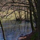 Waldmotive, hier: Winterimpressionen am Rosenweiher