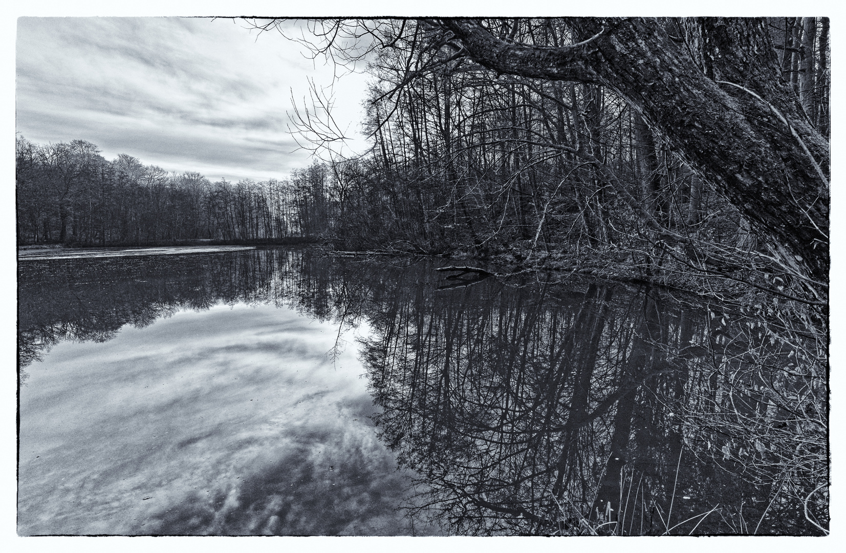 Waldmotive, hier: Wolkenspiegelungen im Rosenweiher (2)