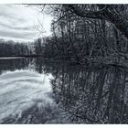 Waldmotive, hier: Wolkenspiegelungen im Rosenweiher (2)