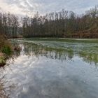 Waldmotive, hier: Wolkenspiegelungen im Rosenweiher