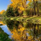 Waldnaab bei Weiden in der Oberpfalz