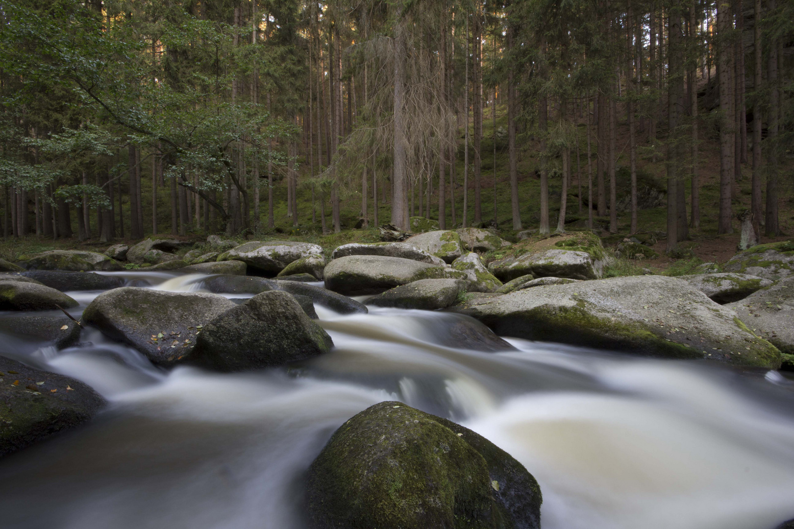 Waldnaabtal