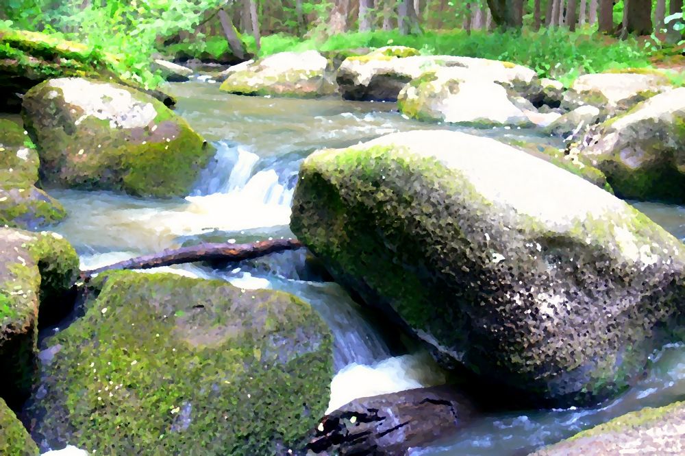 Waldnaabtal am Butterfass