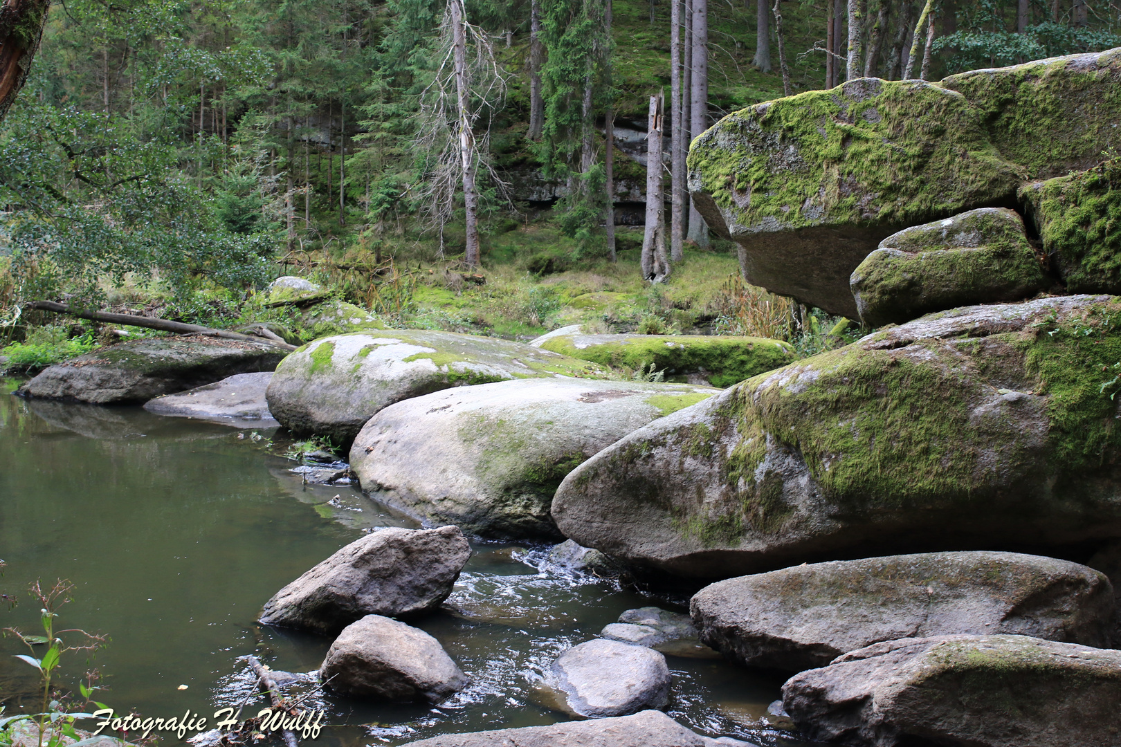 Waldnaabtal in der Oberpfalz