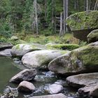 Waldnaabtal in der Oberpfalz