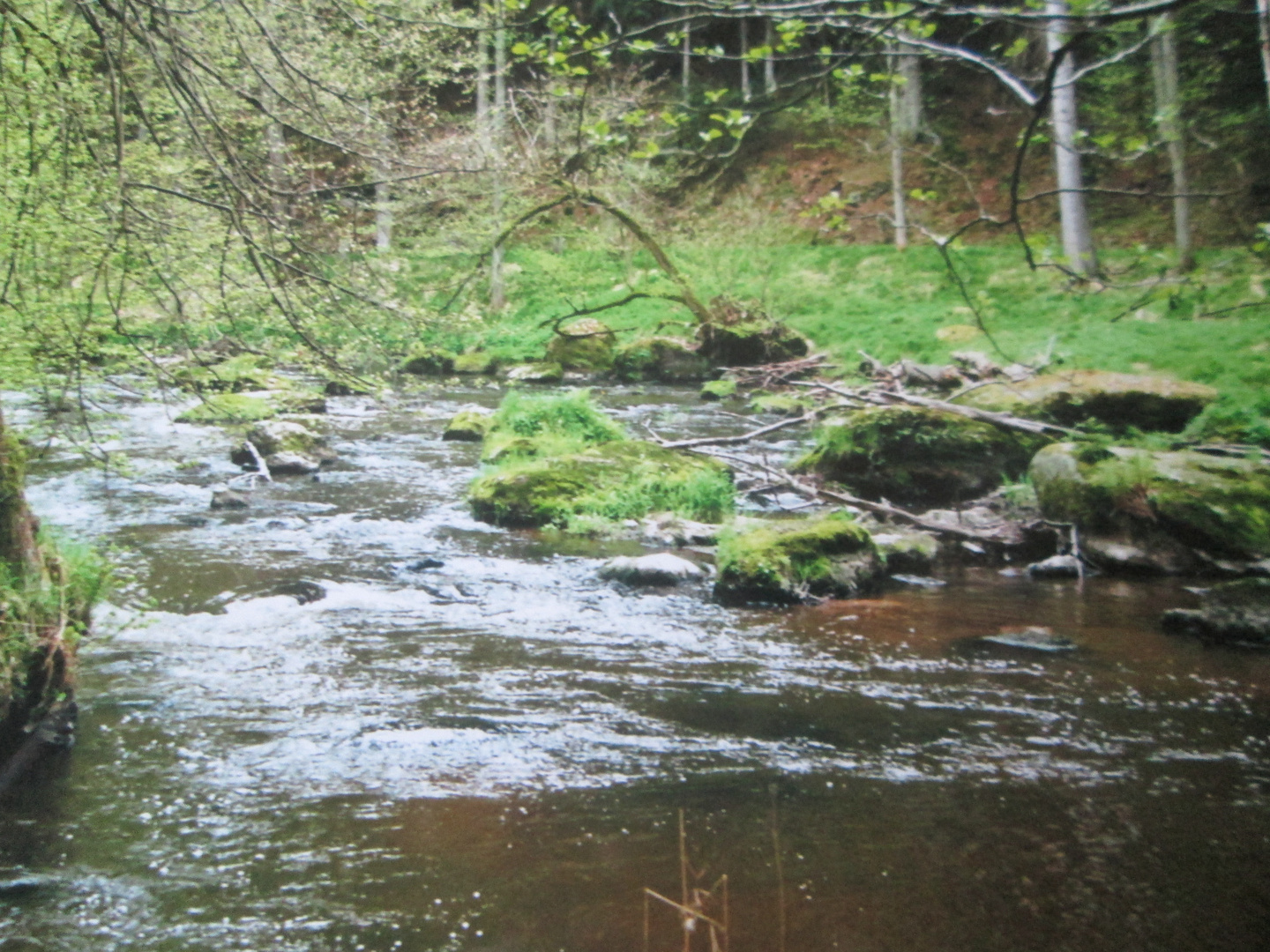 Waldnaabtal (Oberpfalz)