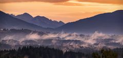 ~ WALDNEBEL ~