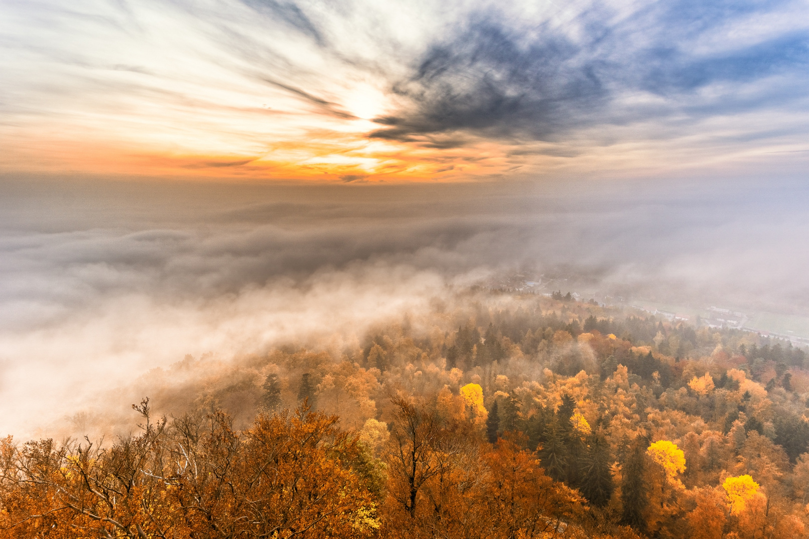 Wald:Nebelblick