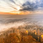 Wald:Nebelblick