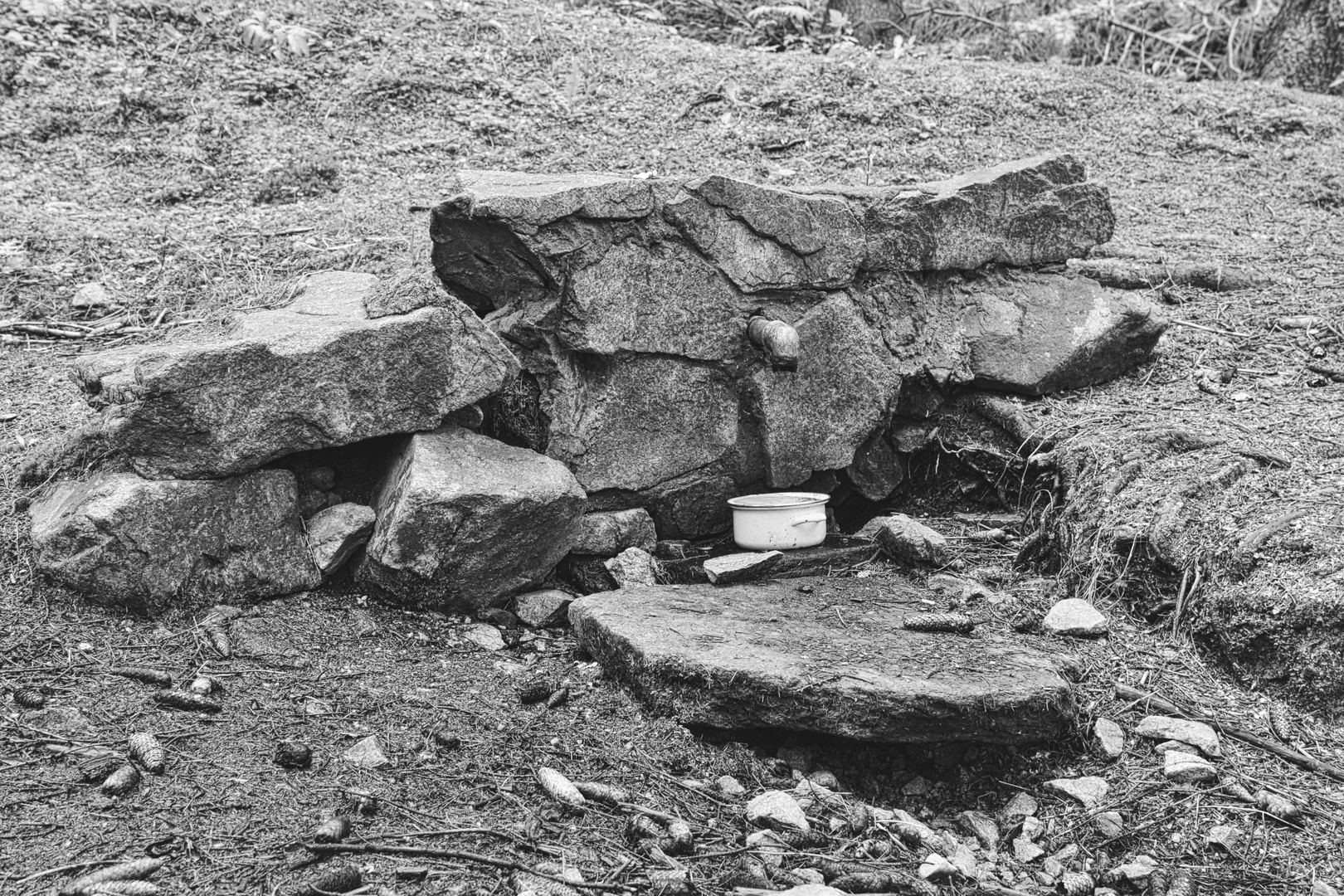 Waldquelle mit Topf
