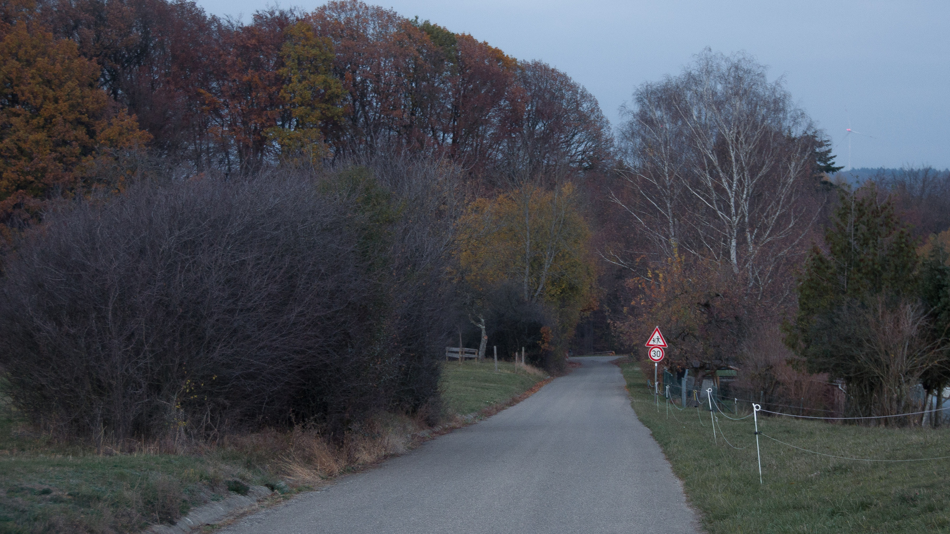 Waldrand, abends, mit Verkehrsschild