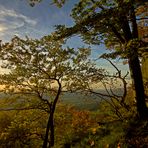 Waldrand an der Klippe im Herbst, Weissenbach bei Schnaittach