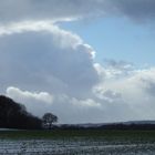 Waldrand bei Kranenburg am Niederrhein - 5. März 2006