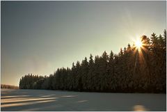 waldrand bei sonnenuntergang ...