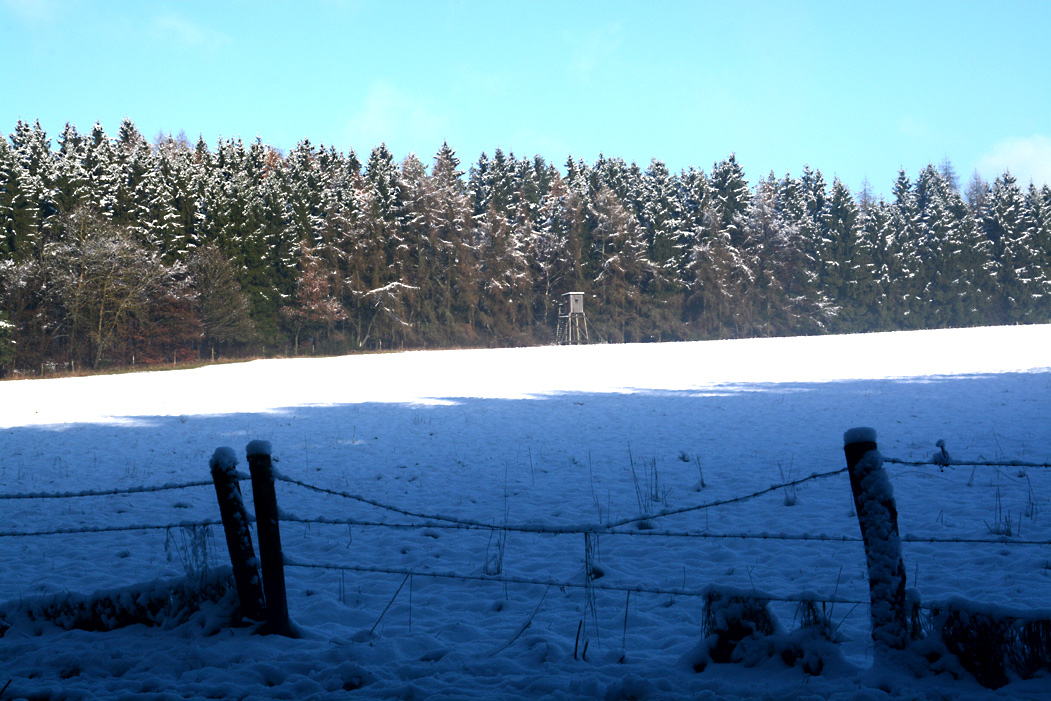 Waldrand mit Hochsitz