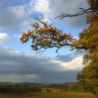 Waldrandwetteraulandblick...