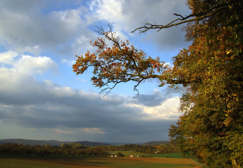 Waldrandwetteraulandblick...