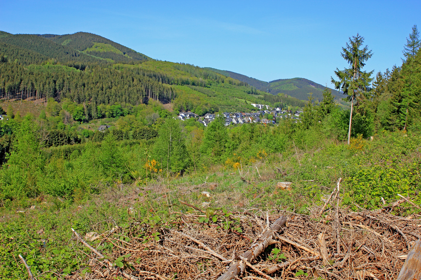 Waldreiches Sauerland