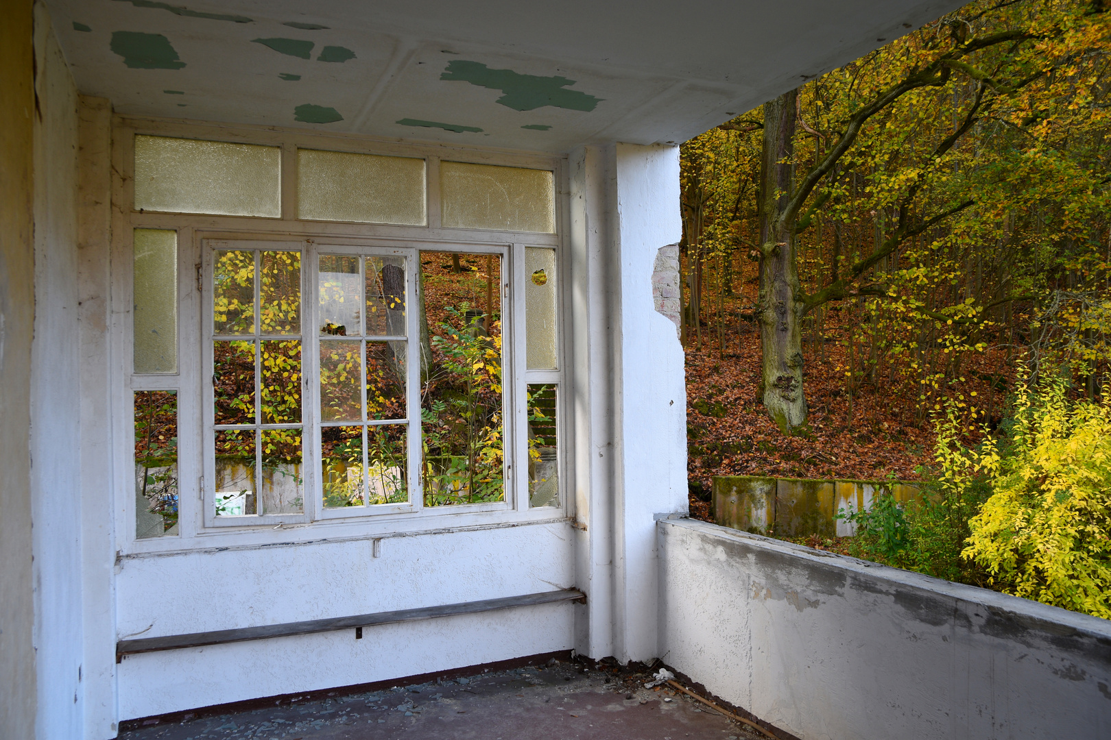 Waldsanatorium Schwarzeck (12)