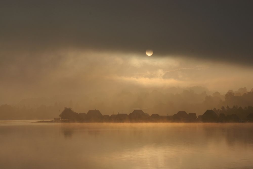 Waldschacher See am Morgen