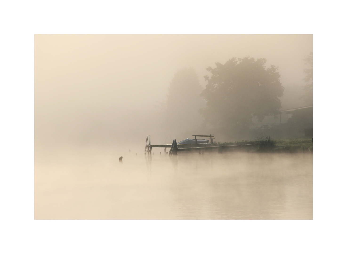 Waldschachersee - am Morgen