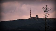 Waldschäden am Brocken