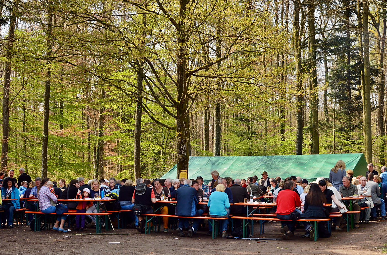 ~~~ Waldschänke geöffnet  ~~~