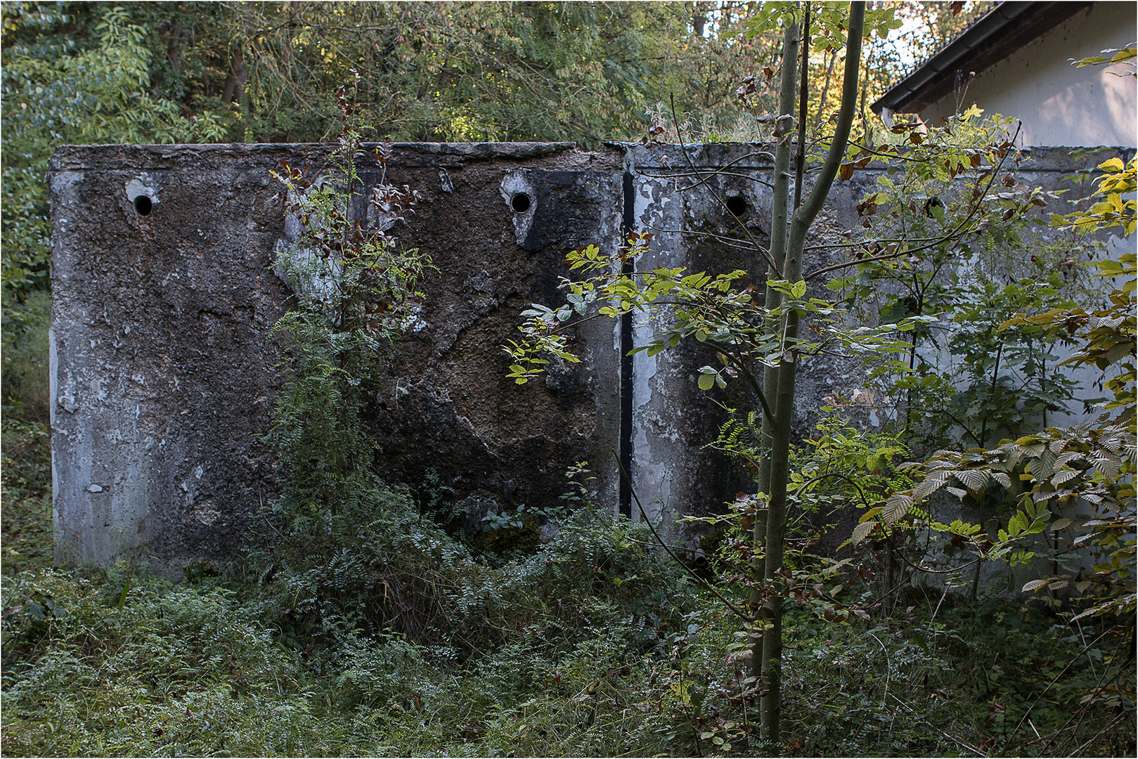 Waldschänke Vol.3