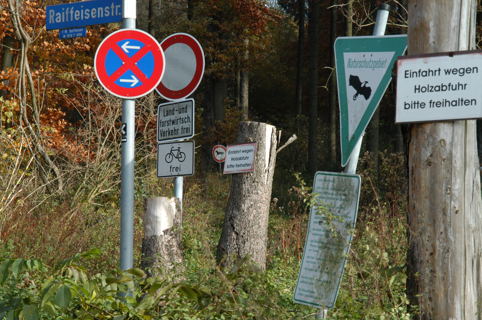 Waldschilder im Schilderwald