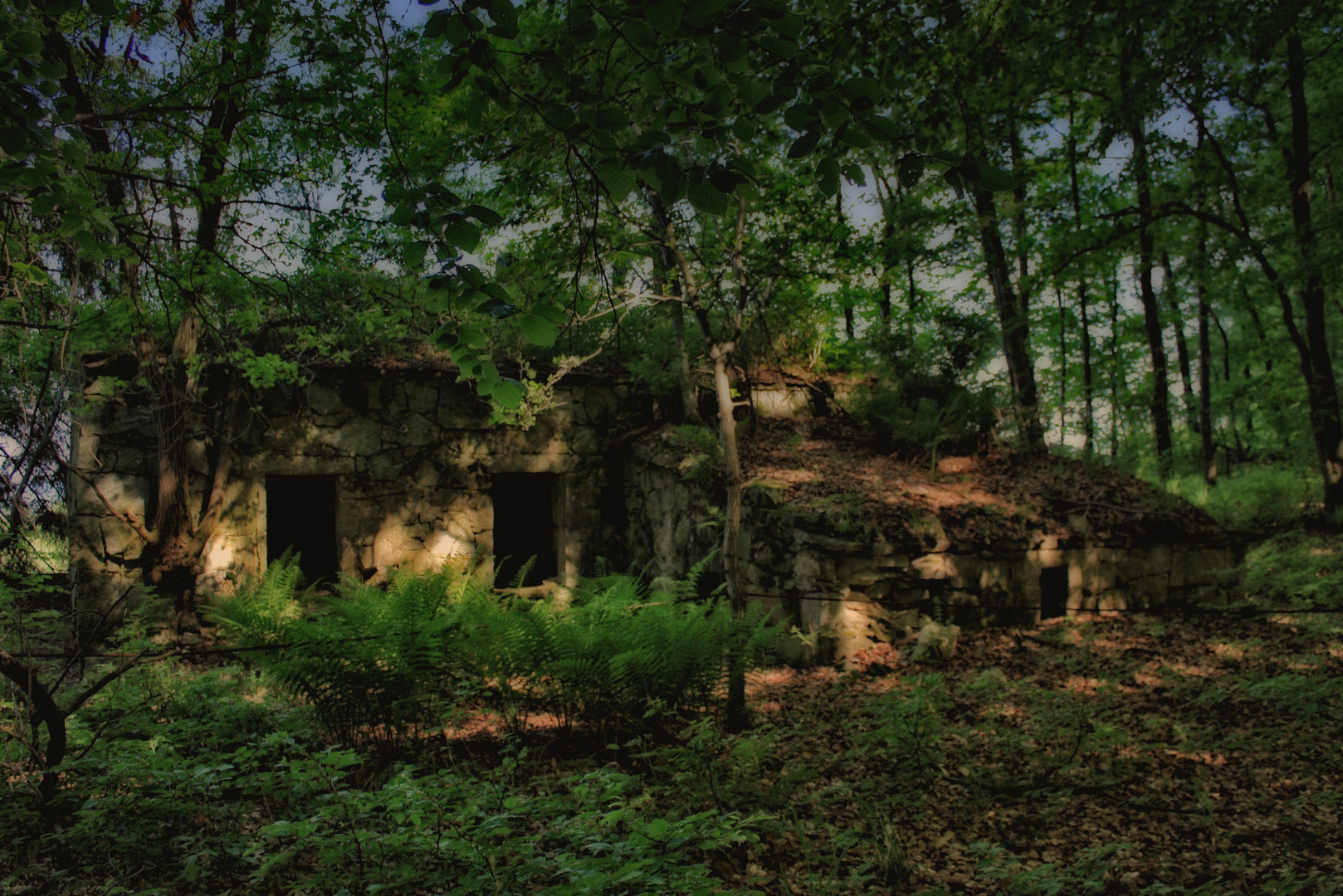 waldschloß im grünen