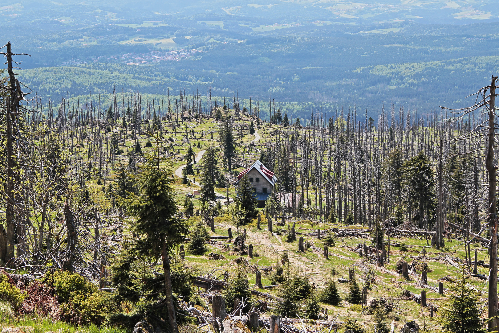 Waldschmidthaus 