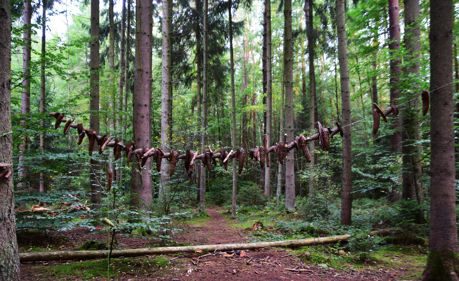 Waldschmuck