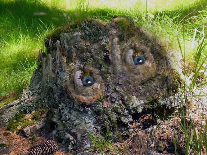 Waldschrat 2 Foto & Bild | fotomontage, fun , digiart Bilder auf