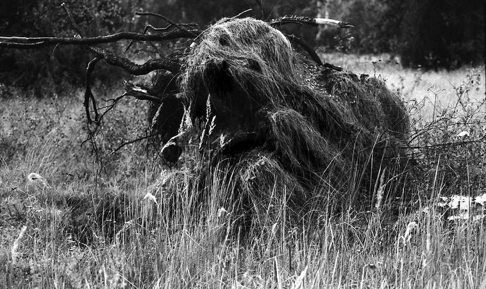 Waldschrat Foto & Bild | tiere, wildlife, wildlife: sonstige tiere