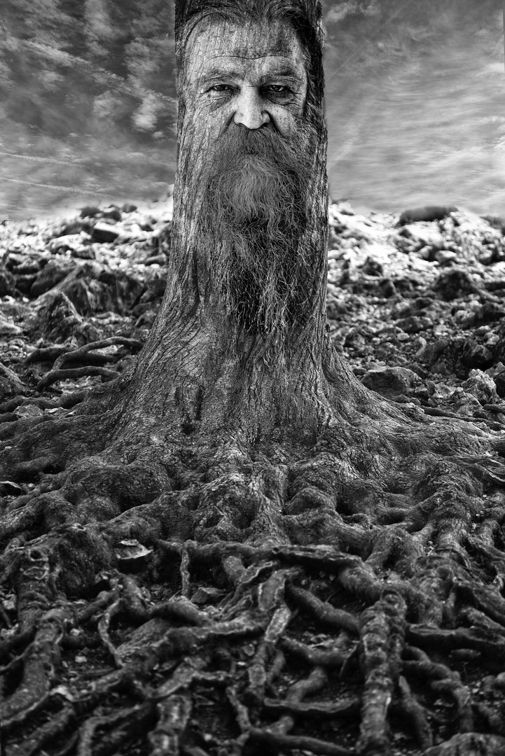 Waldschrat Foto & Bild | fotokunst, natur-kreativ, spezial Bilder auf