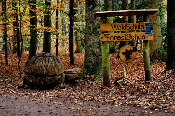 Waldschule