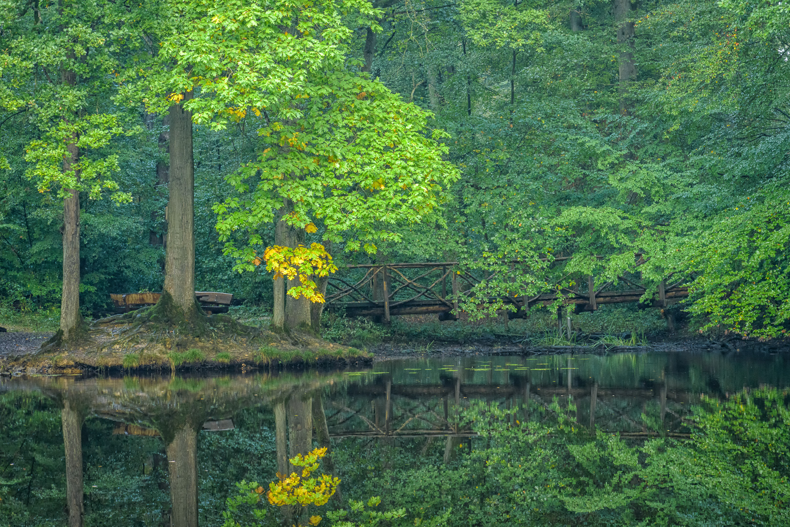 Waldsee